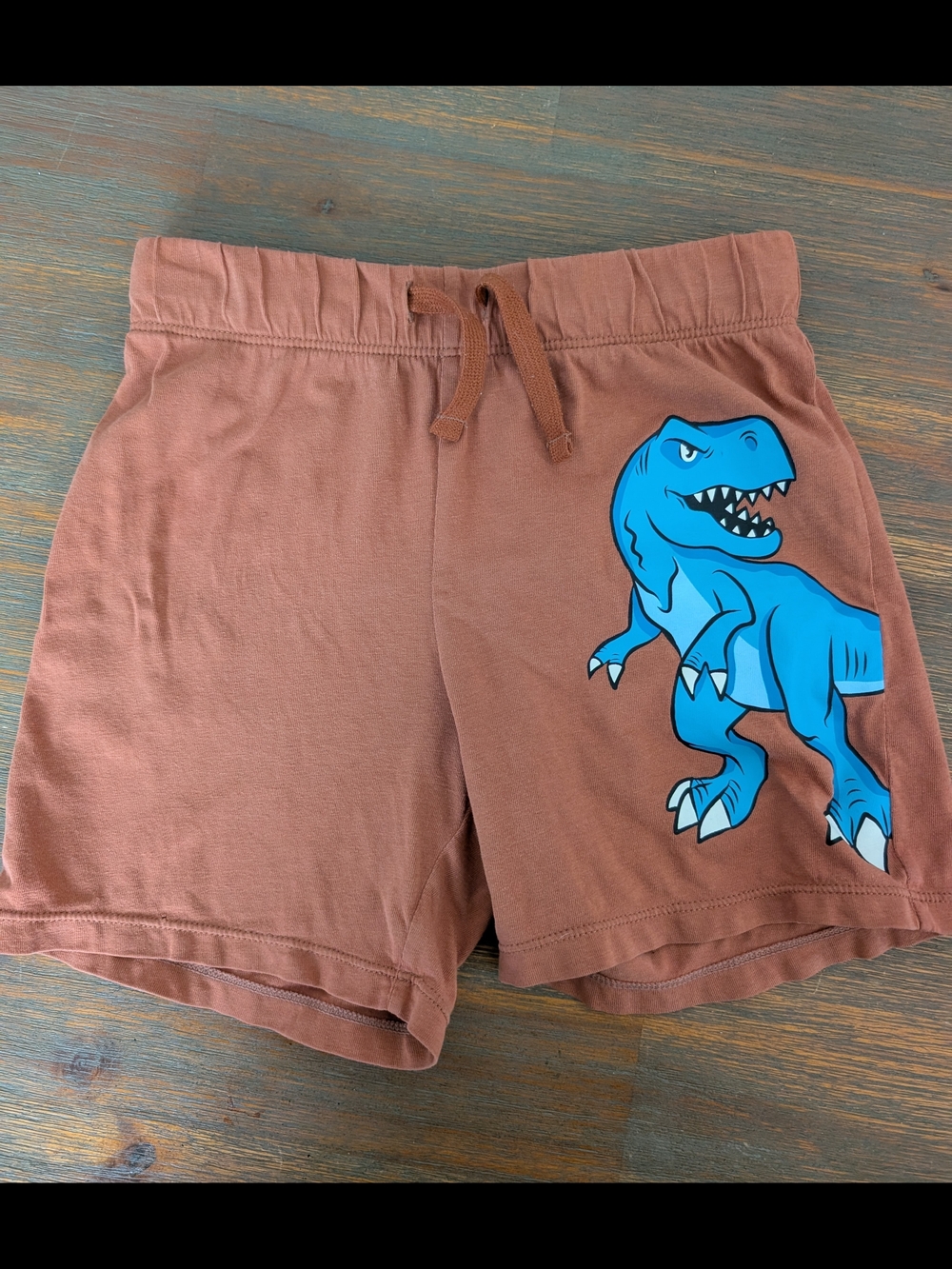 H&M Brown Shorts with Bright Blue Dino Graphic